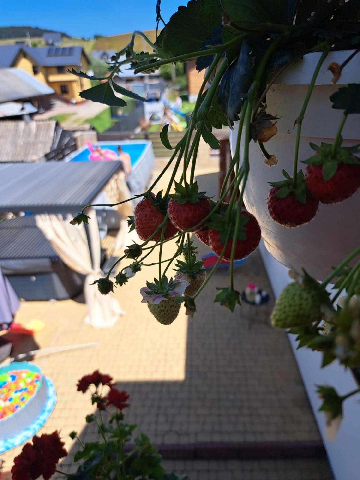 Apartamenty Maja Tylicz Kültér fotó