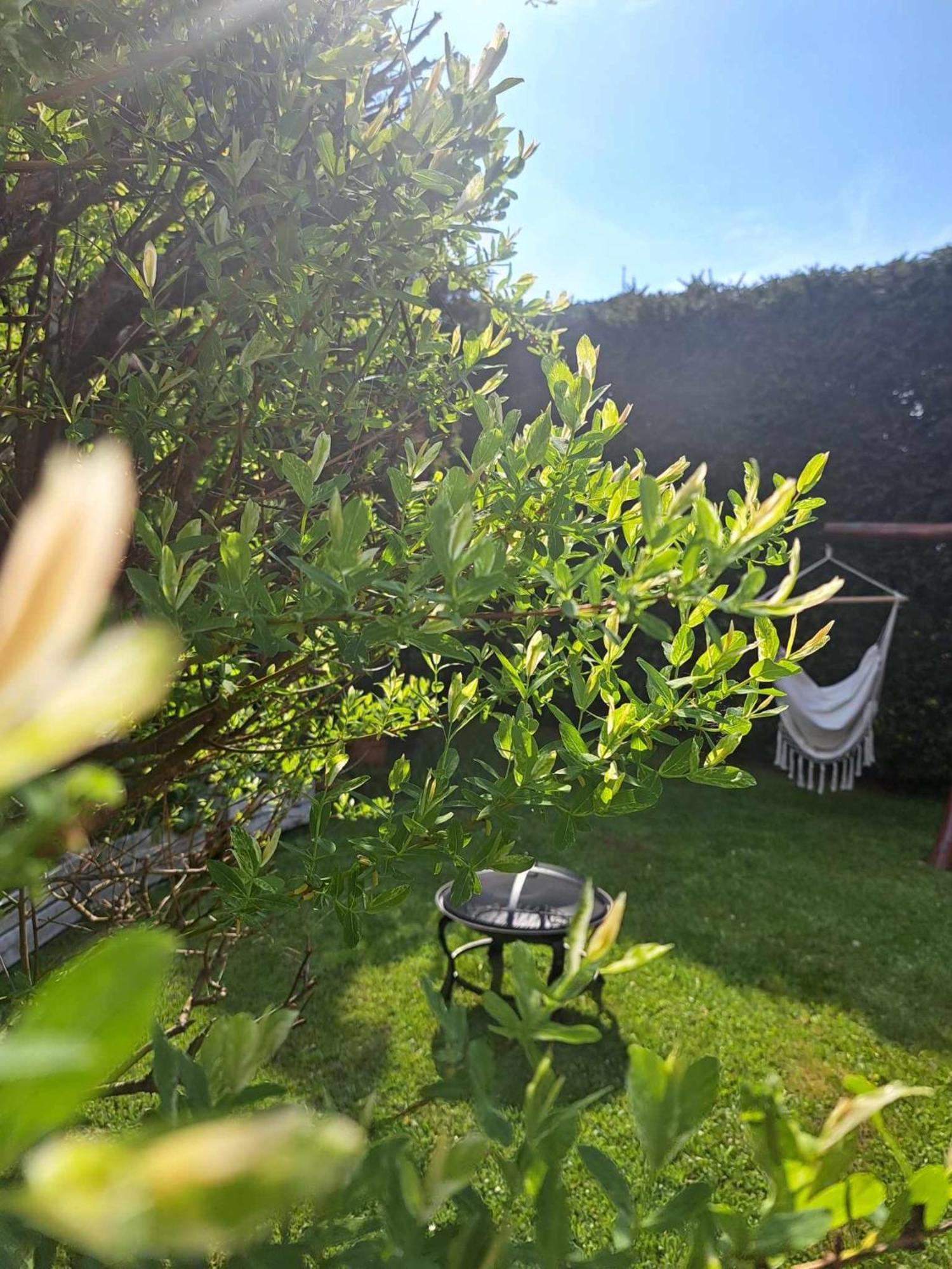 Apartamenty Maja Tylicz Kültér fotó