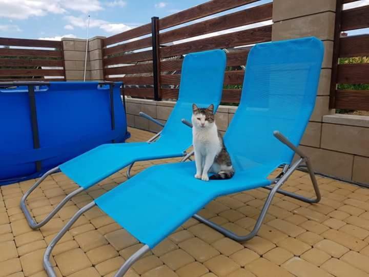 Apartamenty Maja Tylicz Kültér fotó